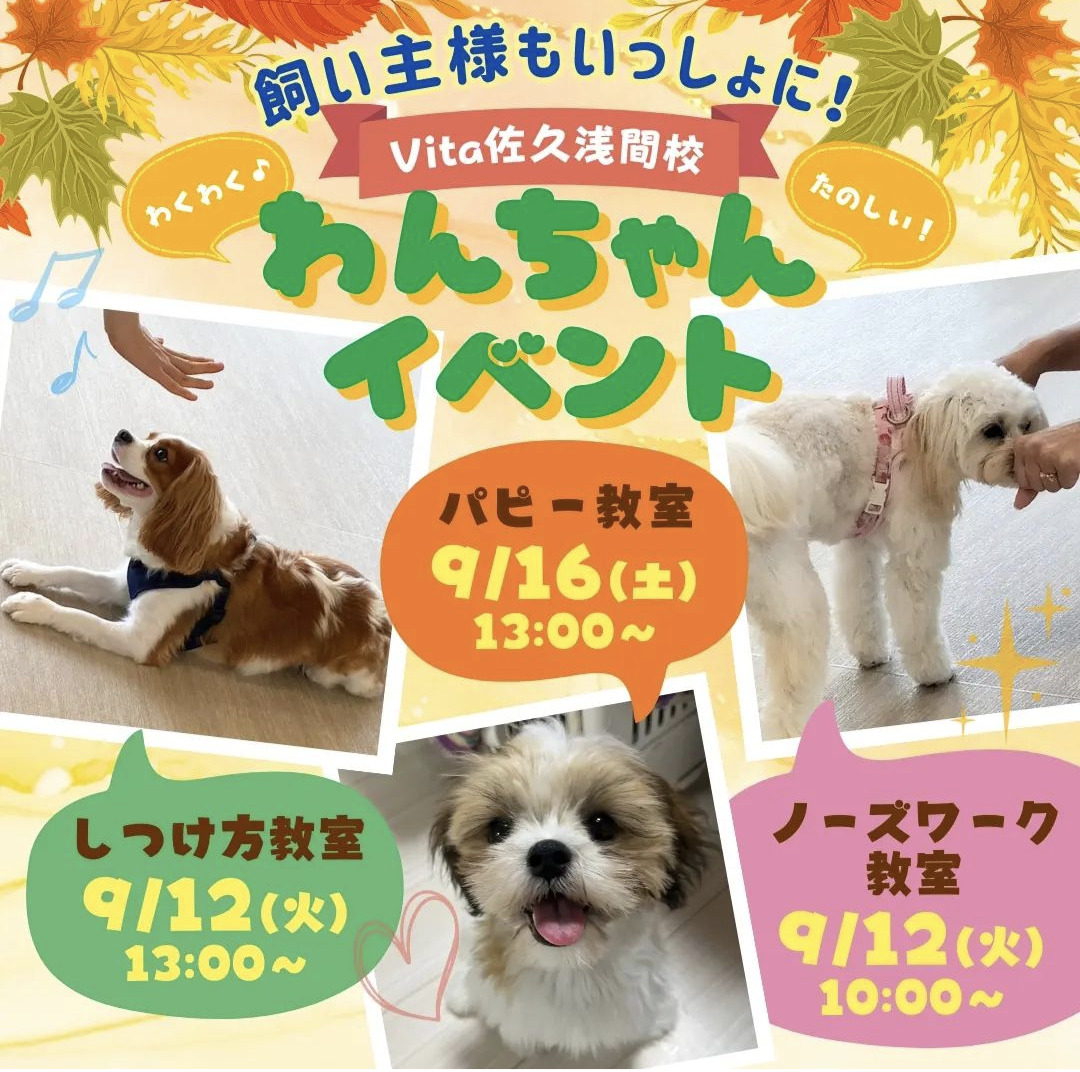 長野県軽井沢町、佐久市の犬のしつけ方教室、パピー教室、ノーズワークなど　9月スケジュールのお知らせ