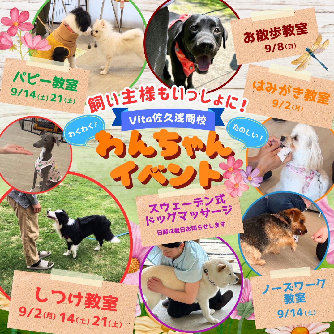 🐇大好評！9月イベント参加者募集中🍡