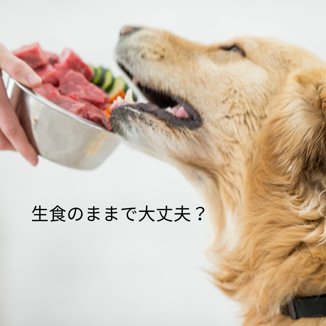 犬と猫の生肉食について