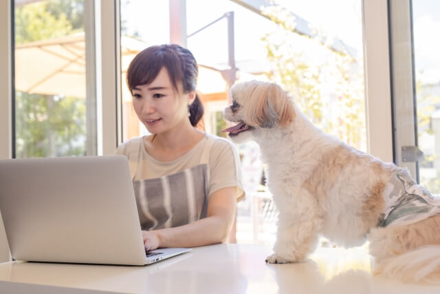 効果的なしつけ教室の選び方