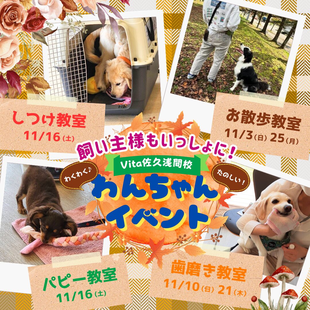 🍄大好評！11月イベント参加者募集中🧸