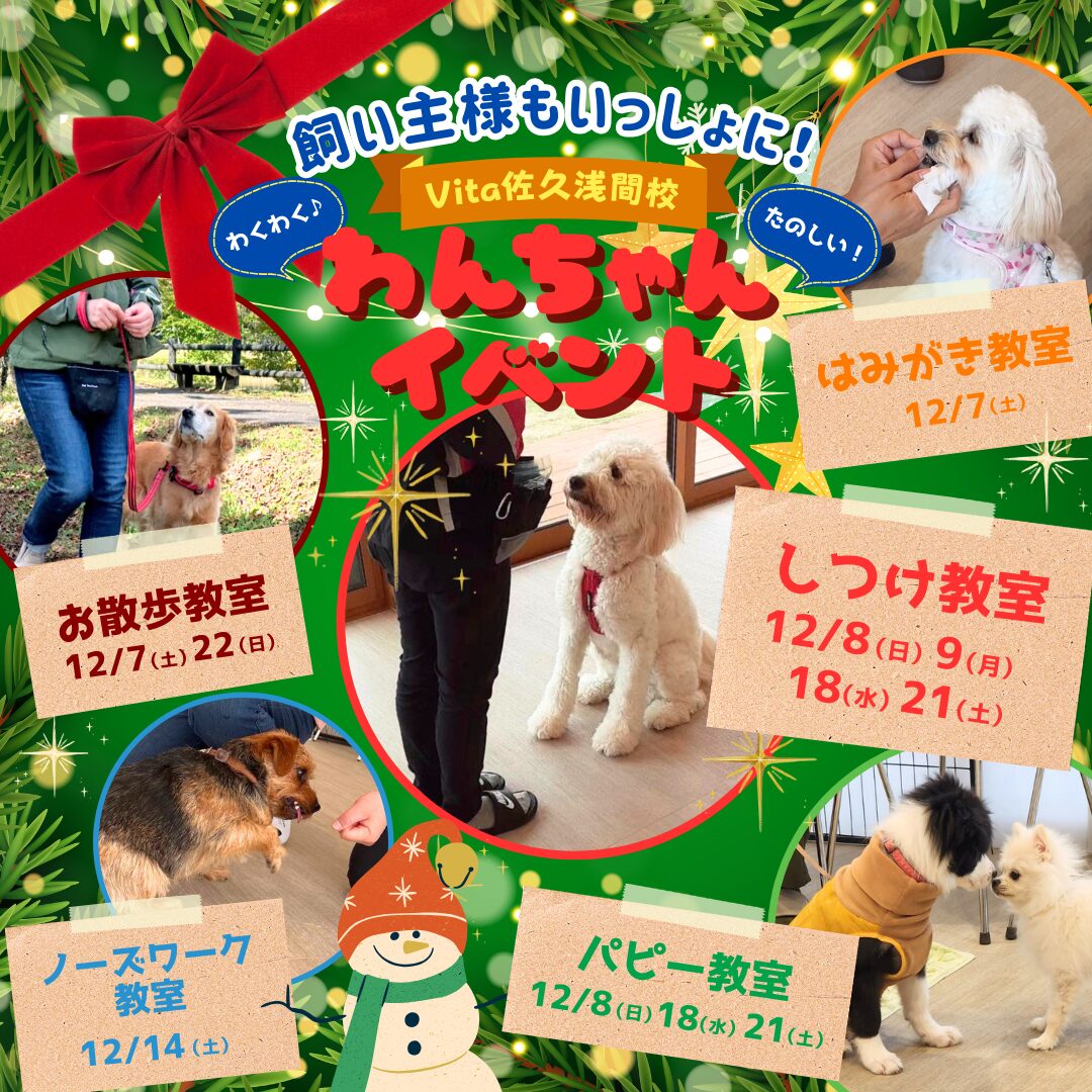 🎄大好評！12月イベント参加者募集中🎅