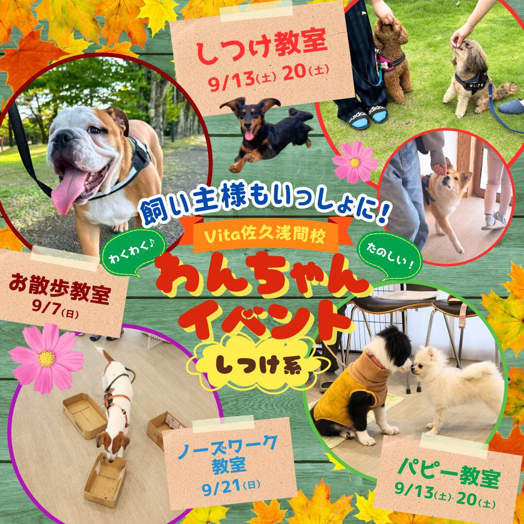 🍁9月イベント参加者募集中🌰🐿