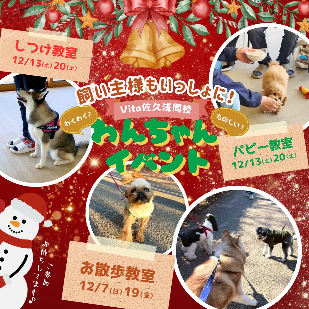 🎄12月イベント参加者募集中🎁