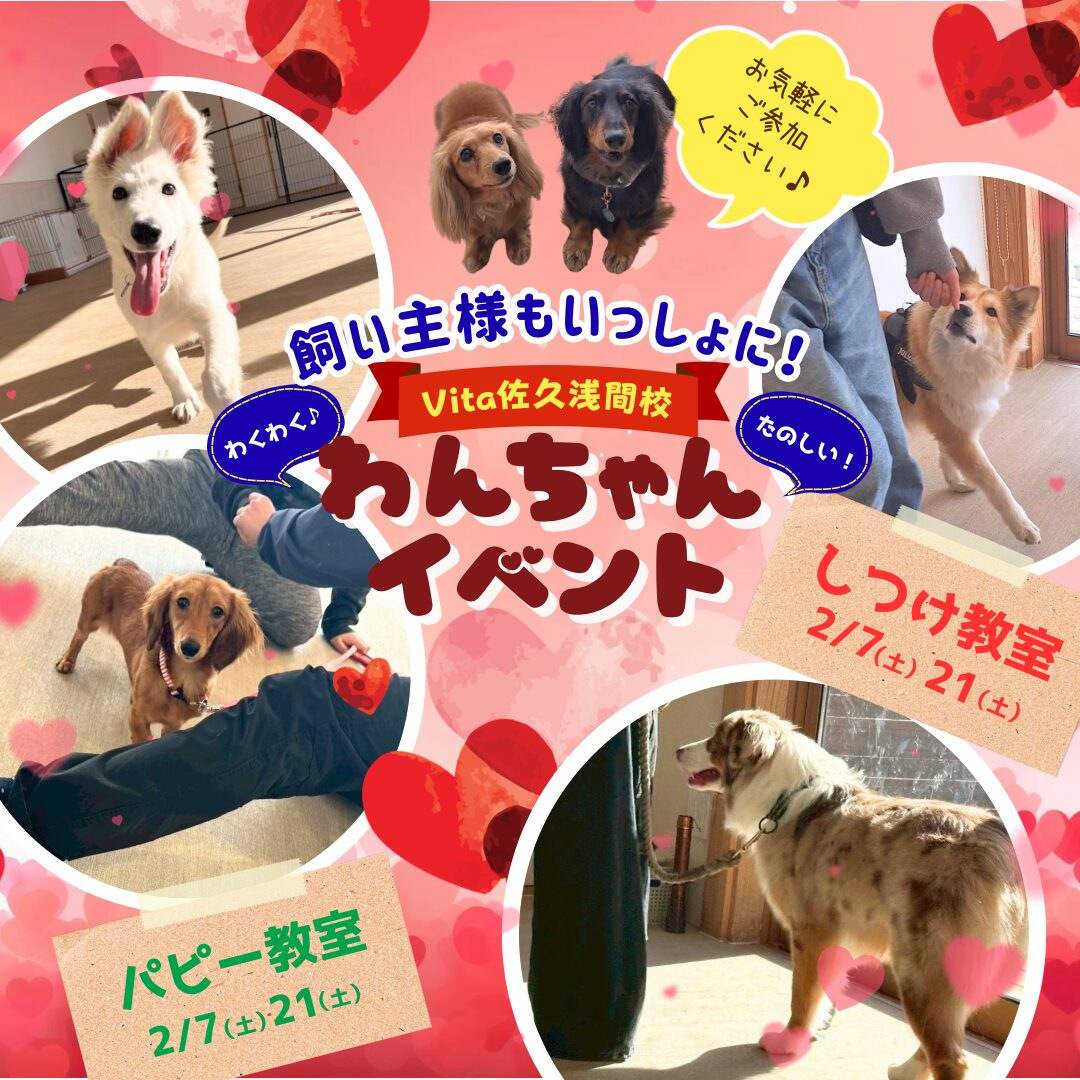 💕2月イベント参加者募集中🍫