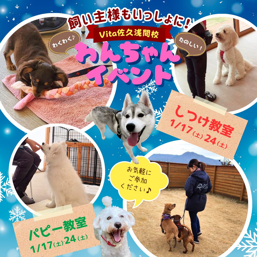 ⛄️1月イベント参加者募集中🧤