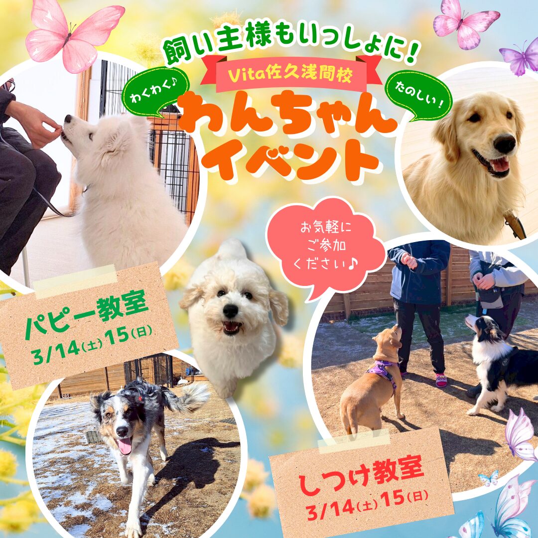 🌷3月イベント参加者募集中🦋