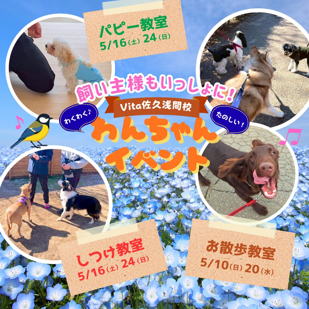 🐦5月イベント参加者募集中🍀