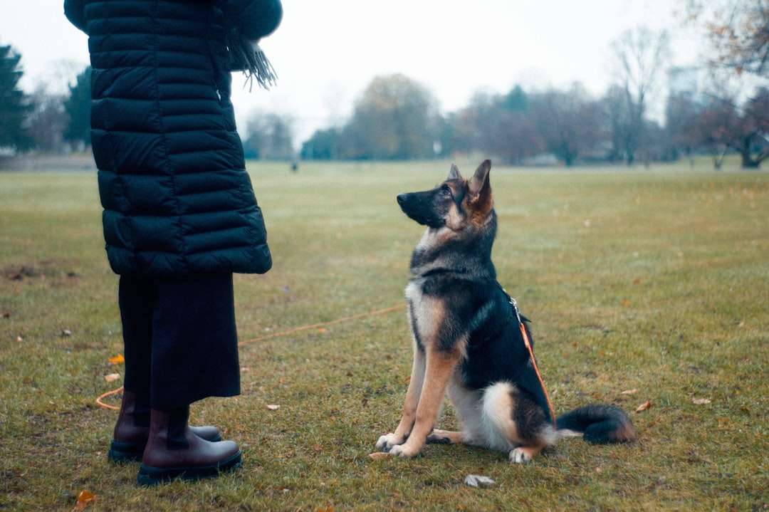 犬とともに生きること——代表・阿部睦が犬事業に込める思い