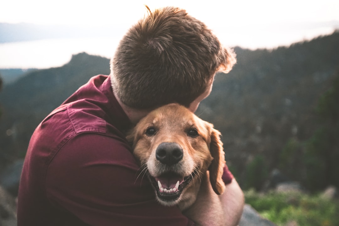 犬の遊び・知育で脳を刺激する方法｜退屈が問題行動を生む理由と今日からできる5つの方法
