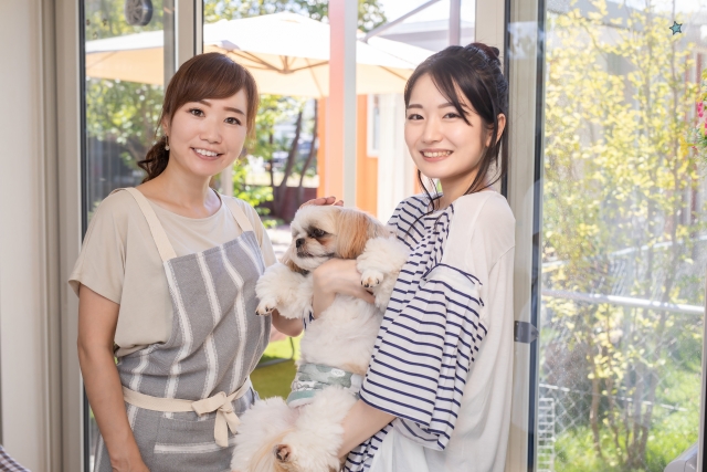 犬のトリミングと自宅ケア、どう使い分ける？トリマーが教える理想の分担